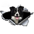Make Your Car stand out with Funny Pet Dog Decal BORDER COLLIE 3D Torn Car Sticker