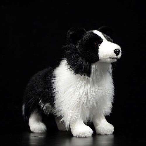 The Perfect Gift for the Border Collie Lover in Your Life