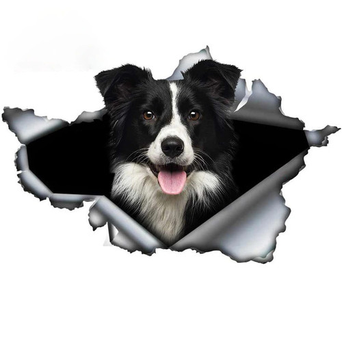 Make Your Car stand out with Funny Pet Dog Decal BORDER COLLIE 3D Torn Car Sticker