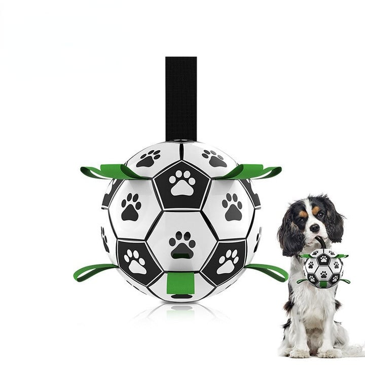 Get your dog ready to play soccer with this interactive ball!