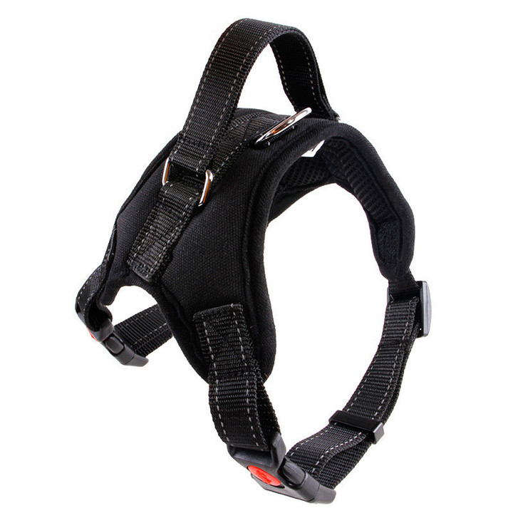 The Best Border Collie Dog Harness to Keep Pace With the Weather with Adjustable