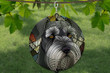 Schnauzer Dog Wind Spinner For Yard And Garden, Outdoor Garden Yard Decoration, Garden Decor, Chime Art Gift