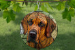 Rhodesian Ridgeback Dog Wind Spinner For Yard And Garden, Outdoor Garden Yard Decoration, Garden Decor, Chime Art Gift