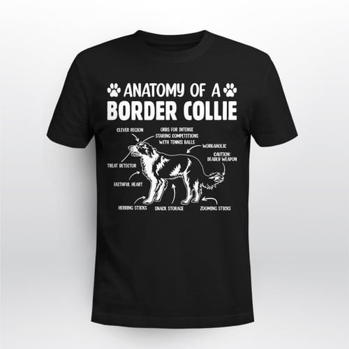 Anatomy Of Border Collie
