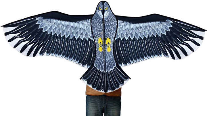 Eagle Kite Flying