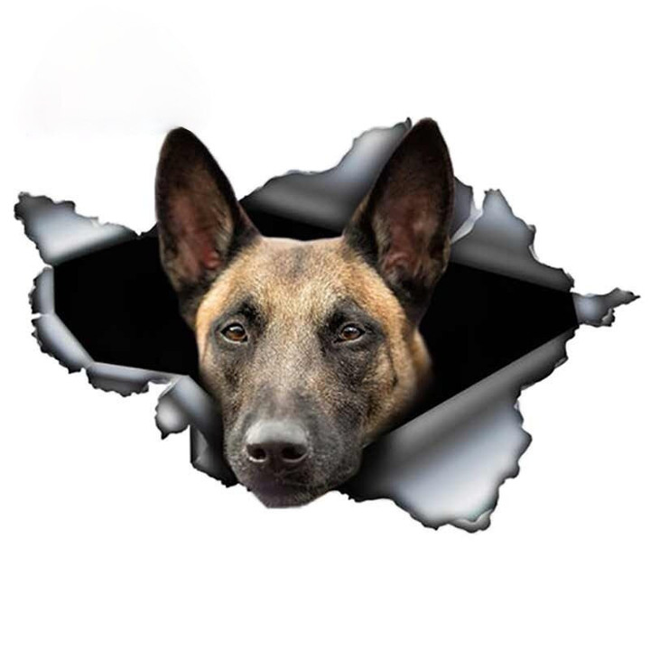 Belgian Malinois Car Sticker