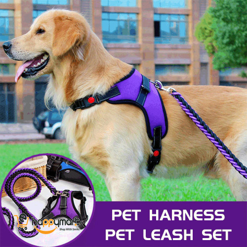 Pet Harness and Leash Set Adjustable Collar