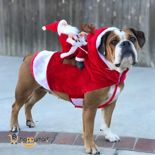 Christmas Red Santa Riding Dog Outfit