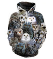3D Print Cute Owl Pullovers Hoodies Sweatshirts for man and women