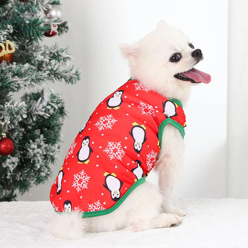 Small Pet Christmas Outfits | Christmas Outfits For Small Dogs Cats
