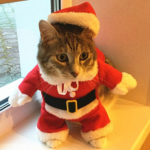 Christmas Cat Costumes Funny Santa Claus Clothes