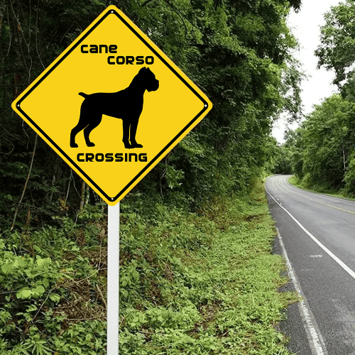 Cane Corso Crossing Warning Sign Sticker