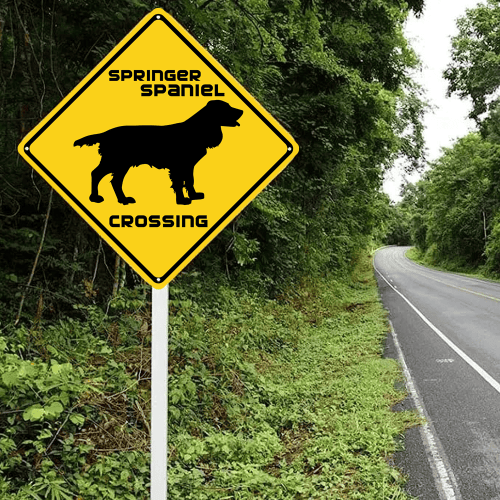 English Springer Spaniel Crossing Warning Sign Sticker