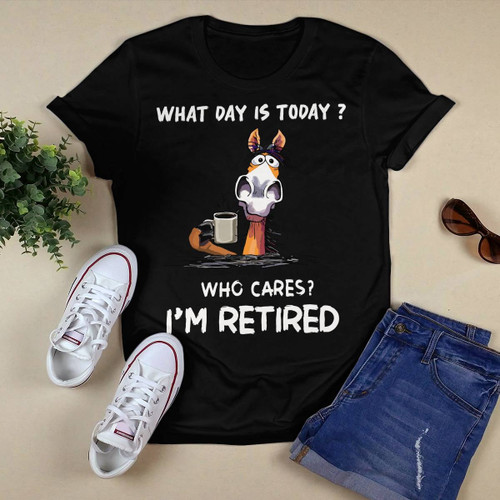 What Day Is Today? Who Cares? I'm Retired Horse T-shirt, Hoodie, Sweatshirt