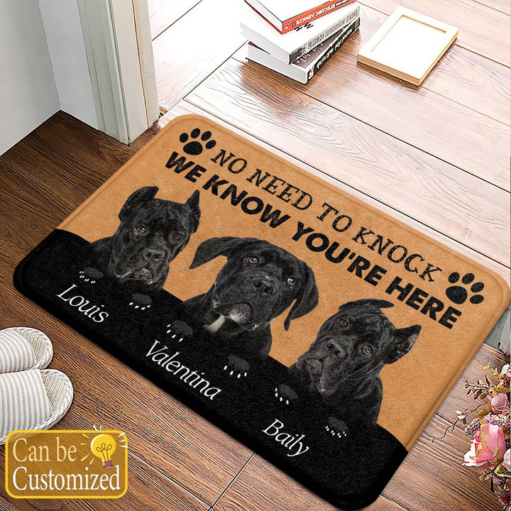 No Need To Knock Cane Corso Customized Doormat