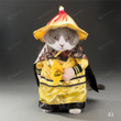 Funny Pet Clothes Cosplay Pirate Cat & Dog