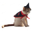 Cute Cat Halloween Cosplay
