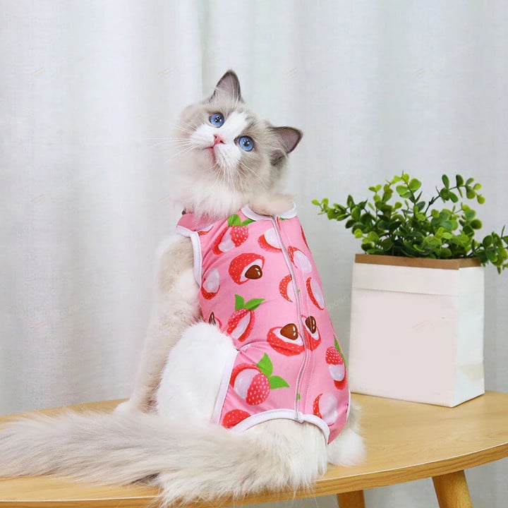 Cat Weaning Sterilization Suit for Cats