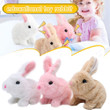 This is a discount for you - Educational Interactive BunnyToys
