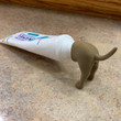 This is a discount for you - Pooping Dog Butt Toothpaste Topper