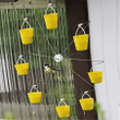 THIS IS A DISCOUNT FOR YOU - Wheel Bird Feeder