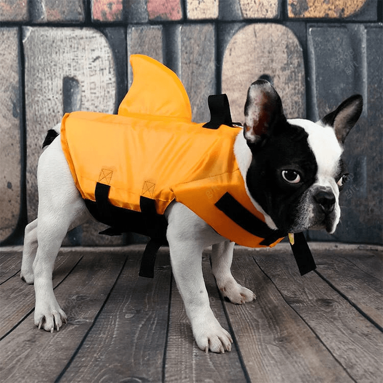 THIS IS A DISCOUNT FOR YOU - Dog Swimming Life Jacket Shark