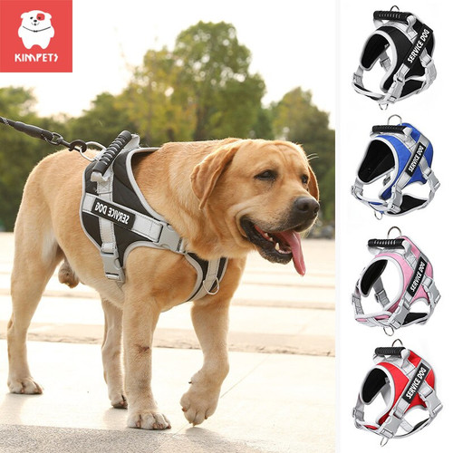 Take Your Labrador Retriever Medium or Large Dog with Our Harness Vest for Safe and Fun Outdoor Walks!"