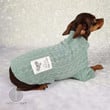 Elevate your dog's style and comfort with our Cozy Dachshund Turtleneck Sweater. This fashionable pet accessory not only keeps your Dachshund warm but also adds a touch of sophistication to their wardrobe. Crafted for style and coziness, it's the perfect choice to keep your furry friend looking chic during chilly days while ensuring they stay snug and comfortable.