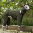 stylish-winter-fleece-vest-for-greyhounds-warm-pet-fashion