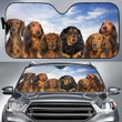 Protect your car from the sun in style with our Dachshund Car Sunshade! Designed for Longhair Doxie lovers, this auto accessory features a charming Team Blue Sky Pattern, adding a dash of personality to your vehicle. Keep your car's interior cool and showcase your affection for Dachshunds with this unique sunshade.