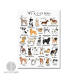 abc-dog-breed-letter-poster-perfect-dog-lovers-gift-and-wall-art-for-kids-room