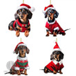4pcs Cute Dachshund Christmas Ornaments: Acrylic Sausage Dog Pendants for Personalized Home Party Gifts