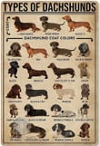 dachshund-types-retro-tin-sign