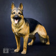 Realistic German Shepherd Police Dog Resin Figurine Model