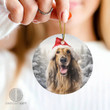 Celebrate the Holidays in Style with Afghan Hound Christmas Ornaments
