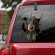 dachshunds-decal-car-stickers