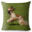 afghan-hound-cushion-covers-pillow-for-stylish-home