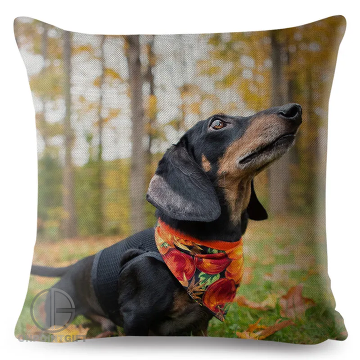 Cute Miniature Dachshund Print Pillow Cover for Dog Lovers