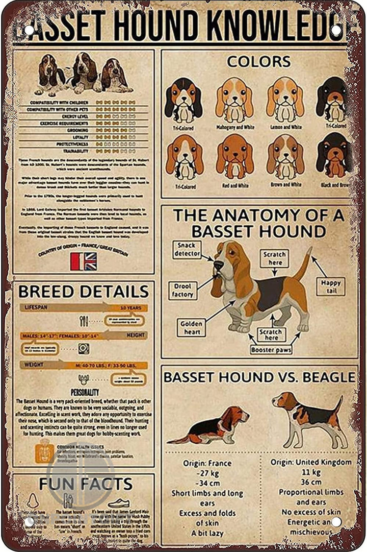 basset-hound-knowledge-metal-plaque-tin-sign-for-wall-decoration-in-people-cave-bar-cafe-living-room