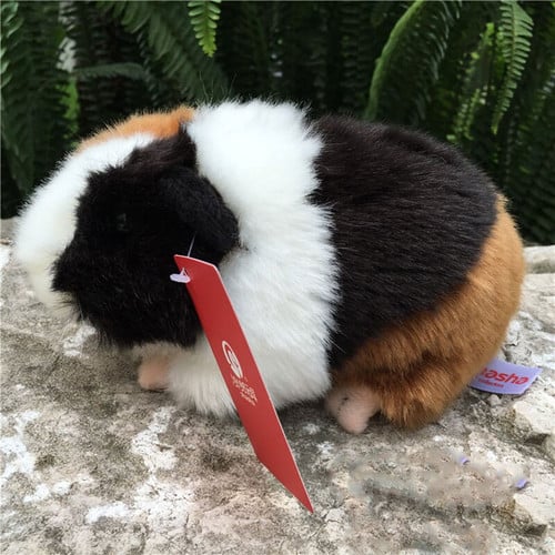 Guinea Pig Plush Toy