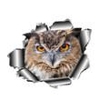3D Owl Car Sticker Torn Metal Full Color Decal Reflective Stickers