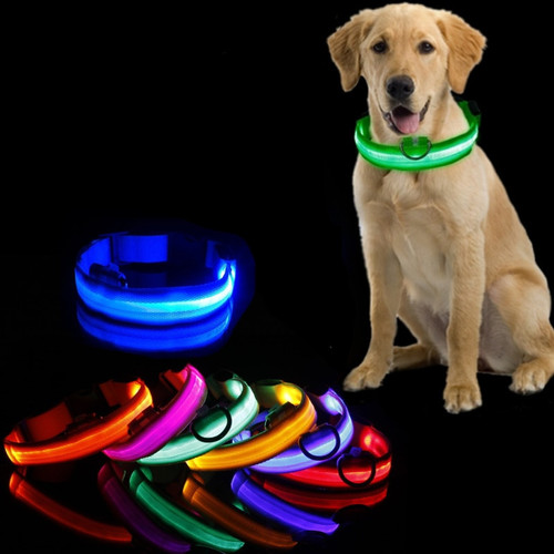 Led Dog Collar Light Anti-lost Collar For Dogs Puppies Night