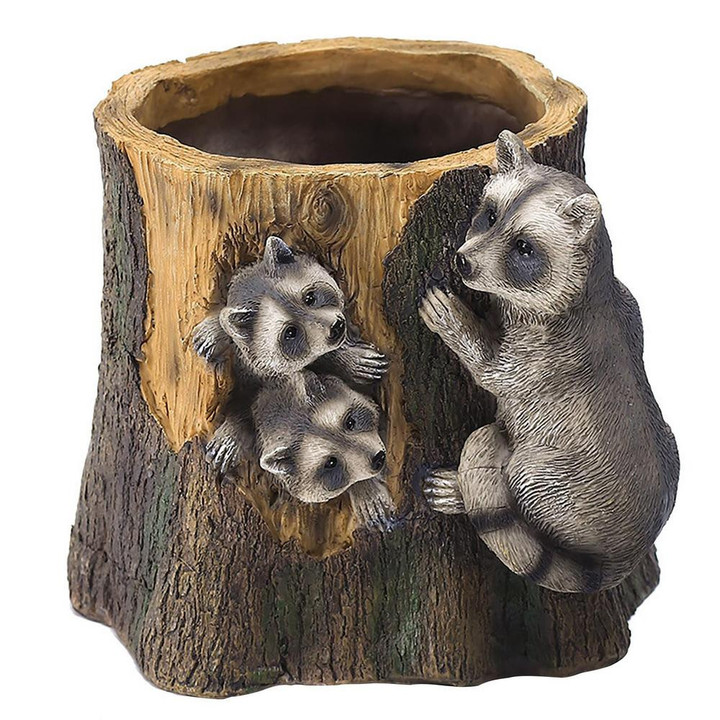 Raccoon Flower Plant Pot
