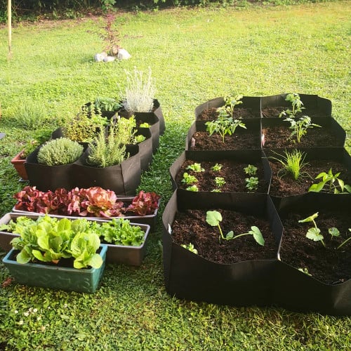 Rectangular Planting Bag For Vegetables Flowers Felt 4/8 Pockets Raised Garden Bed Multi-grid Breathe Cloth