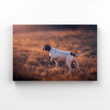 German Shorthaired Pointer Canvas, Dog Canvas, Wall Art Canvas, Gift Canvas
