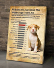 Pit bull - The nicest dog Canvas