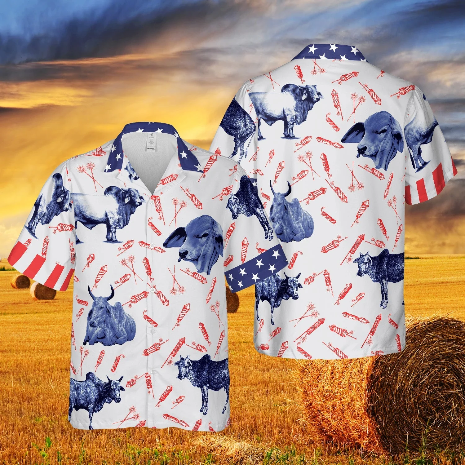 Independence Day Fire Cracker Brahman Pattern All Printed 3D Hawaiian Shirt