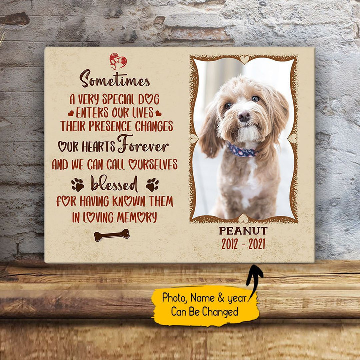 Sometimes A Very Special Dog Enter Our Lives Personalized Pet Memorial Gift Wall Art Horizontal Poster Canvas Framed Print