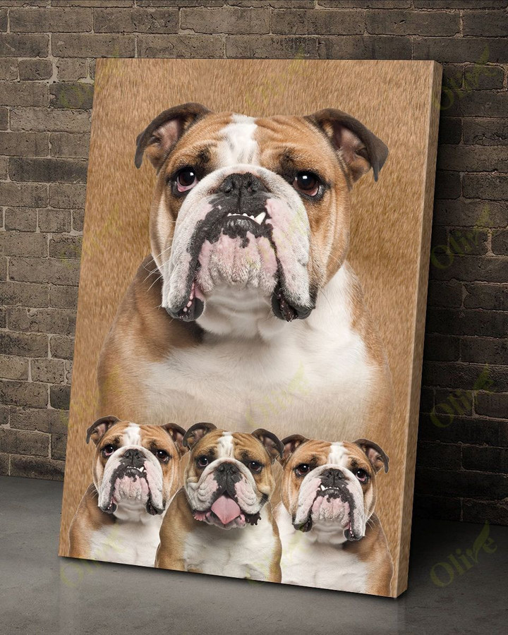 English Bulldog - The big and the little Canvas