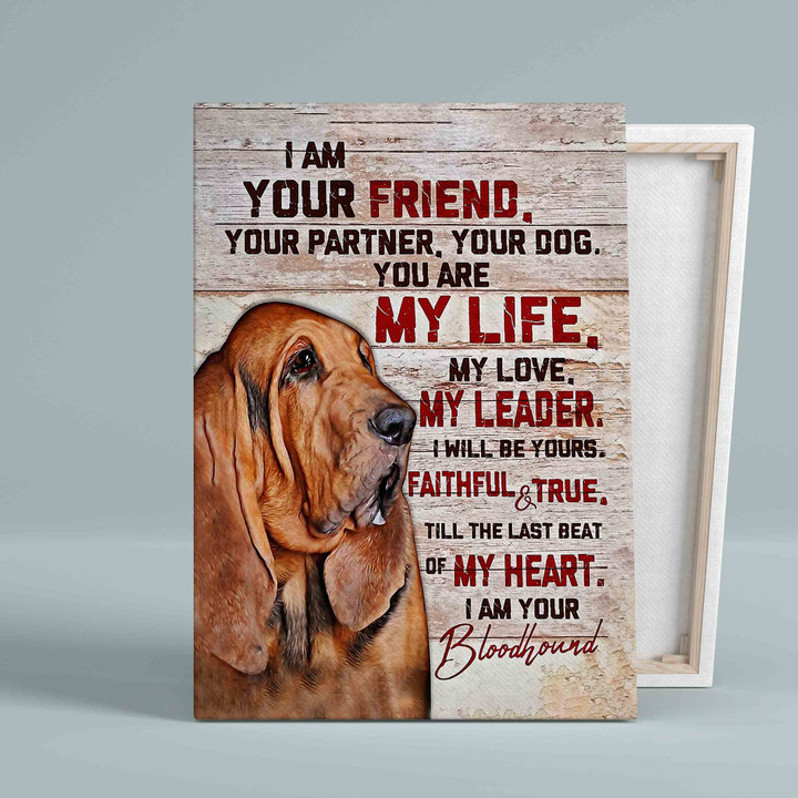 I Am Your Friend Your Partner Your Dog Canvas, Bloodhound Canvas, Dog Canvas, Gift Canvas